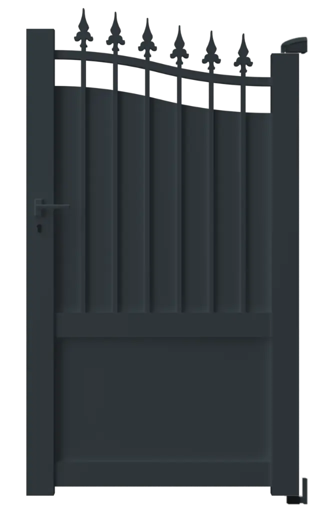 Tortuga 1F.webp