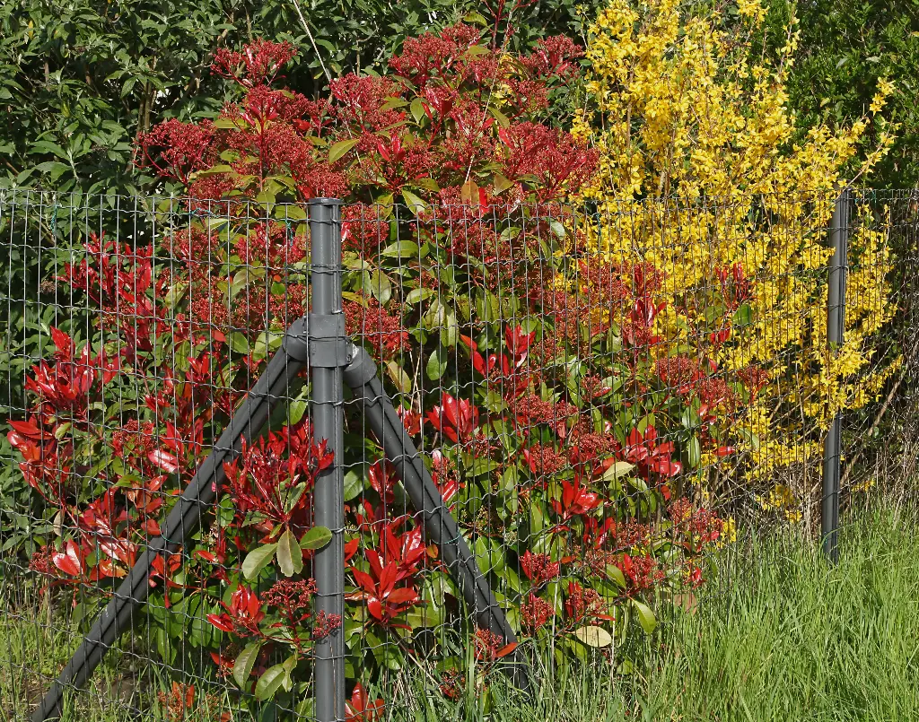Poteau tendeur centre complet Ø50 KLAMMA 1750mm H=2100mm RAL6005