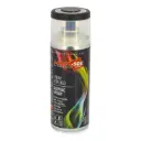 Aérosol de peinture RAL 9005