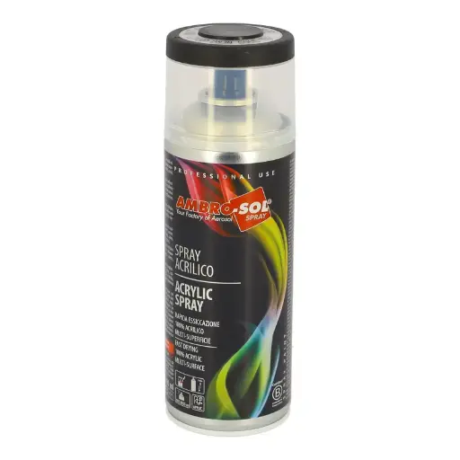 [PAINT9005] Aérosol de peinture RAL 9005